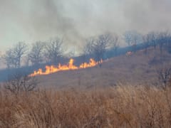 Два лесных пожара потушили в Иркутской области за сутки