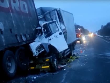В Нижнеудинском районе пассажир ГАЗель Next погиб при столкновени с фурой Volvo