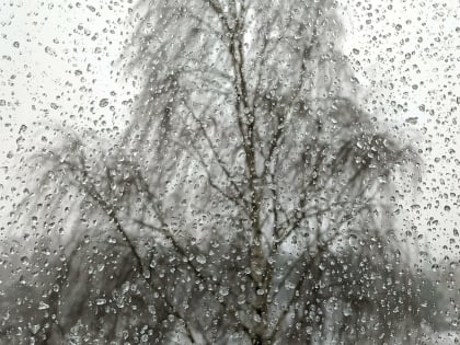 Внимание! Дожди с мокрым снегом прогнозируются в Иркутской области 24 сентября