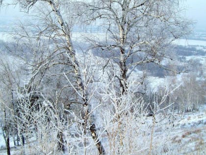 Морозы пережили без аварий