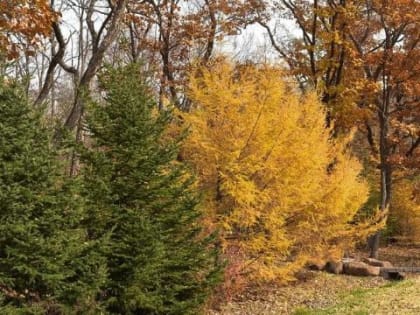 Погода в Приморском крае: южный ветер и дожди ожидаются в начале недели