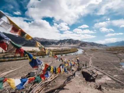 Регионам посоветовали готовиться к борьбе с чумой