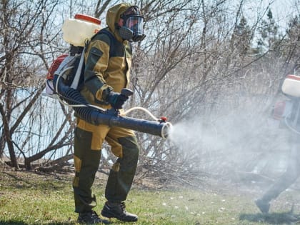 За неделю 924 жителя Иркутской области пострадали от укусов клещей