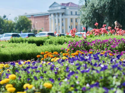 Депутат Госдумы предлагает сократить рабочий день в России из-за жаркой погоды