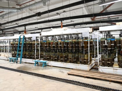 Большереченский омулевый завод в Бурятии модернизируют в рамках нацпроекта