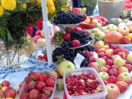 В феврале в Иркутске продолжатся занятия в "Школе садоводов"