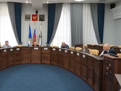 Три постоянные комиссии Думы Иркутска рассмотрели актуальные вопросы на своих заседаниях в мае