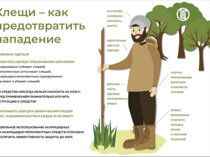 В Приангарье более 12 тысяч человек пострадали от укусов клещей