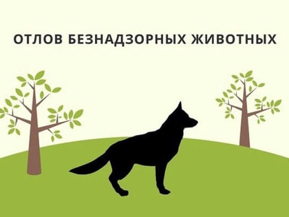 Вниманию жителей города!