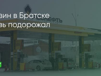 В Братске автомобильное топливо снова подорожало