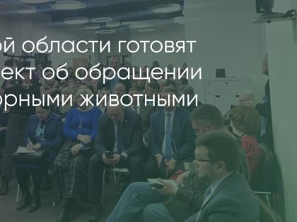 Общественные обсуждения закона о бродячих собаках в Иркутске превратились в митинг