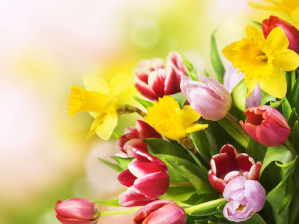 8 марта - Международный женский день!