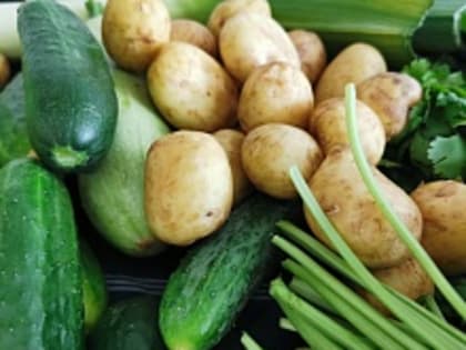 Врач раскрыл, чем опасна окрошка при хронических заболеваниях