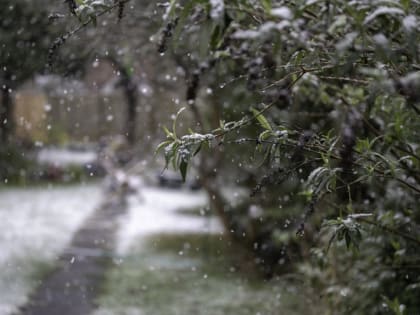 Синоптики предупреждают о снеге и усилении ветра в Приангарье 19 мая