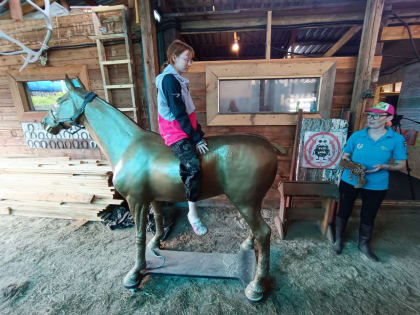 Реабилитация с “Гармонией”