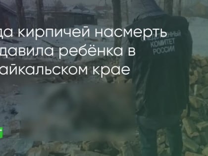 Ребёнок в Забайкальском крае погиб под грудой кирпичей