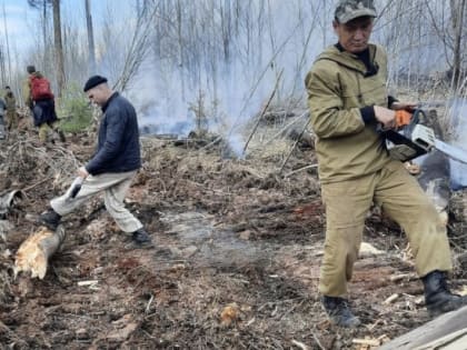 Два лесных пожара действует в Иркутской области