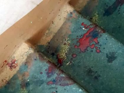 В Хабаровске зверски убили еще одну собаку