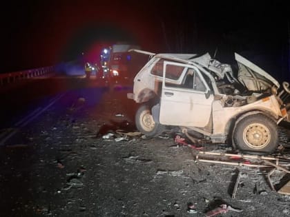 Сотрудники ГИБДД назвали пять главных причин гибели на дорогах Иркутской области