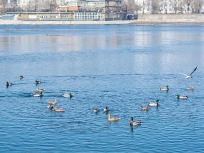 Гидрометцентр: температурный режим в марте в Иркутской области будет неустойчивым