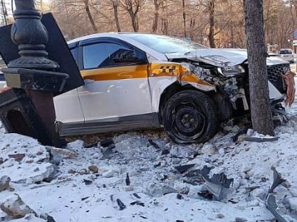 В Хабаровске такси врезалось в дерево и едва не свалило столб около местного СКР
