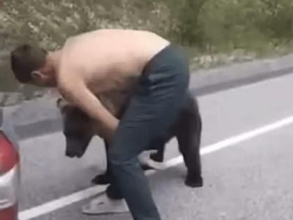 Жители Приангарья бездумно играют с вышедшими из леса медведями