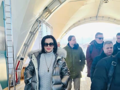 Депутат Госдумы ужаснулась количеству машин в Байкальске