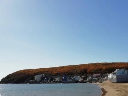 Владимир Путин поручил Минобороны вернуть земли Приморью