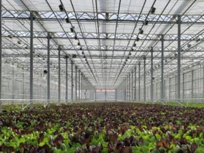 Сельхозпроизводителям в Приморье вернули освобождение от налога на имущество