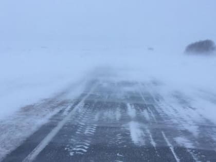 Проезд по трассе от Барнаула до границы с Казахстаном ограничили из-за непогоды