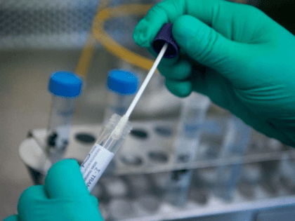 Выпустили кракен