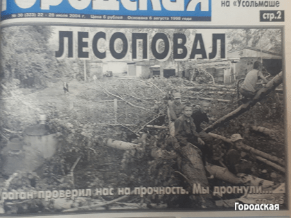 Проверенные на прочность ураганом