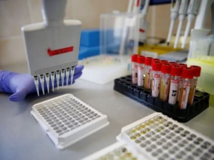 Несколько человек заболели бубонной чумой в соседней России стране