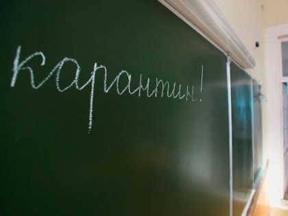 Из-за ОРВИ и коронавируса на Алтае закрыли на карантин шесть школ