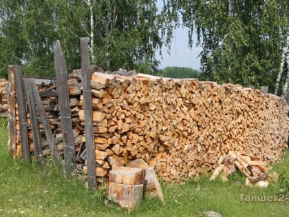 Наталья Дикусарова: Медики будут получать фиксированные компенсации за услуги ЖКХ и дрова