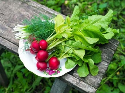 Питание по сезону: продукты мая