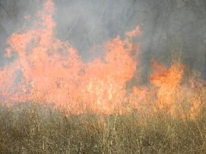 На месяц раньше срока в Забайкалье начались пожары сухой травы