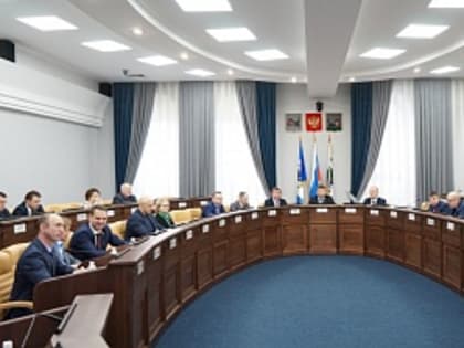 Участок под строительство школы на территории бывшего стадиона «Автомобилист» безвозмездно передаст инвестор городу Иркутску