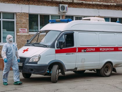 В поселке Усть-Илимского района выявили случай бешенства