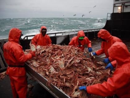 Инвестор нового порта во Владивостоке получил квоты на краба