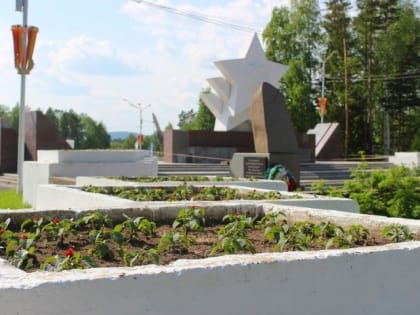 Началась высадка цветов на городских клумбах Усть-Илимска