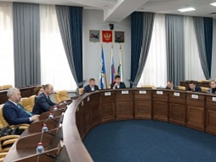 22 вопроса рассмотрели две постоянные комиссии Думы Иркутска 27 февраля