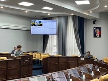 Две комиссии Думы Иркутска рассмотрели внесение изменений в бюджет города на 2023 год и на плановый период 2024-2025 годов