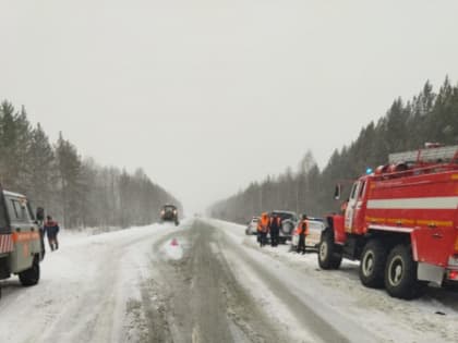 Два человека погибли днем на заваленной снегом дороге в Новосибирской области