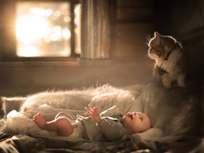 День 4 января, среда