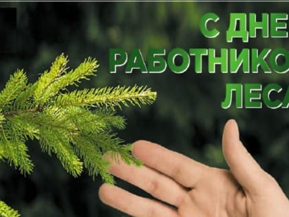 Значение лесов для экологии и общества