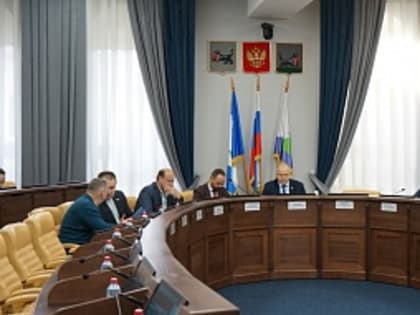 Депутаты Думы Иркутска направят свои предложения для формирования областного закона по обращению с безнадзорными животными