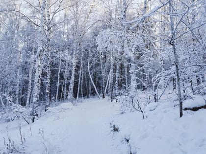 В субботу в Иркутске будет относительно тепло, но ветрено