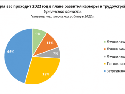 Жители Иркутской области оценили 2022 год с точки зрения карьеры