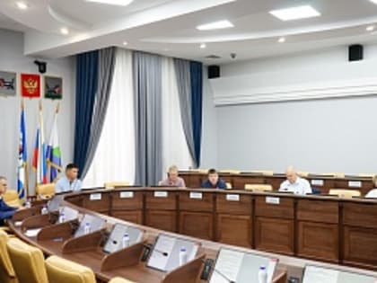 Две постоянные комиссии Думы города Иркутска рассмотрели 22 вопроса на июньских заседаниях